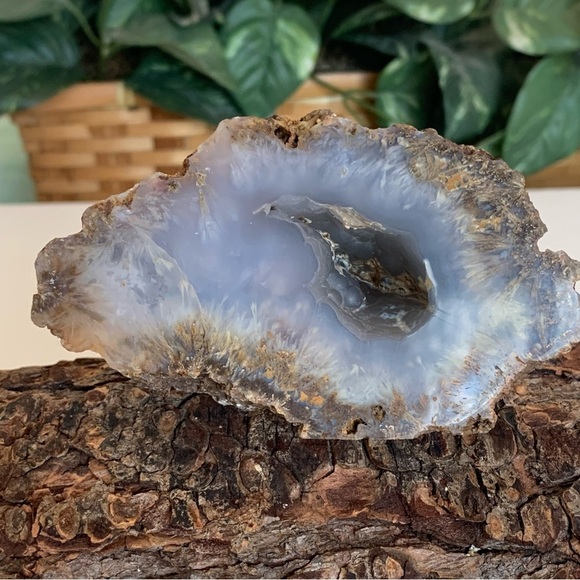 Blue Sagenite Agate Sagenitic Chalcedony Yellow Dendritic Acicular Inclusions 4" - Picture 7 of 16